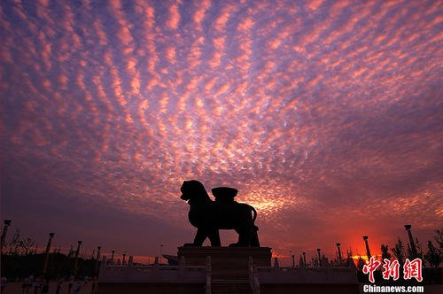 Cangzhou stone lion