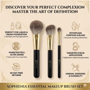 beginner makeup brush set
